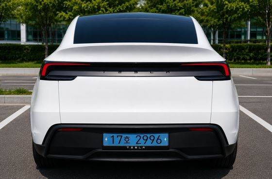 Tesla Model Y RWD — пробег 17 855 км — фото 2 из 5