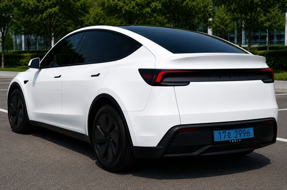 Tesla Model Y RWD — пробег 17 855 км — фото 4 из 5