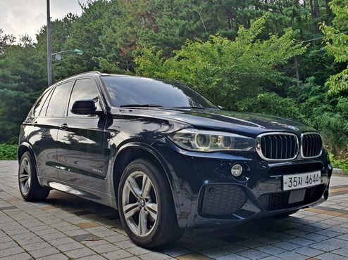 BMW X5 xDrive 30d M Sport package — пробег 274 215 км — фото 4 из 5