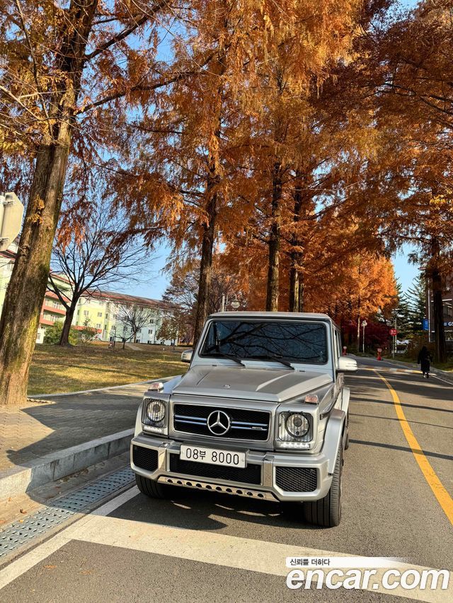 Mercedes-Benz G-Class G63 AMG Edition 463 — пробег 72 237 км — фото 3 из 5