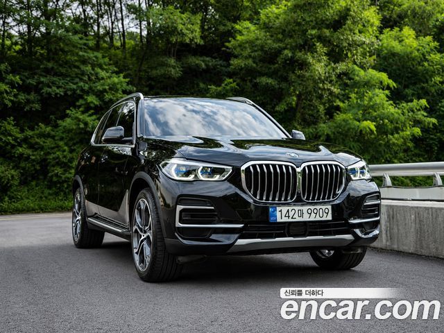 BMW X5 xDrive 40i xLine — пробег 45 800 км — фото 1 из 5