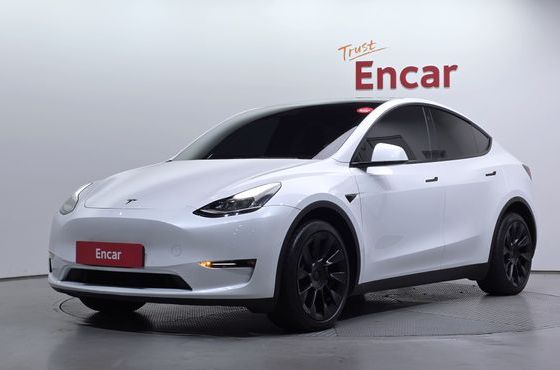Tesla Model Y Long Range AWD — пробег 93 693 км — фото 1 из 5