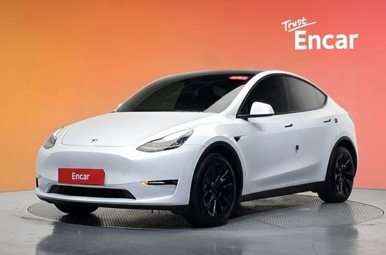 Tesla Model Y Long Range AWD — пробег 95 779 км — фото 1 из 5