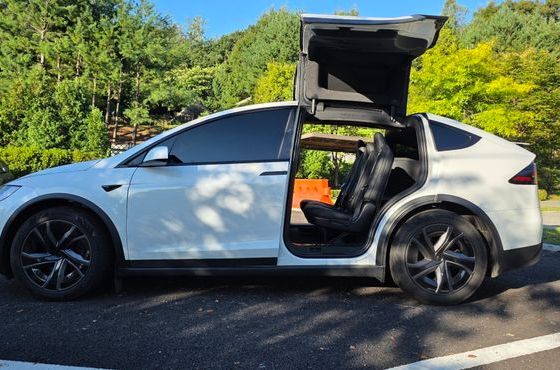 Tesla Model X AWD — пробег 3 100 км — фото 2 из 5