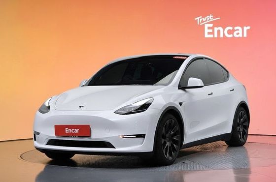 Tesla Model Y Performance AWD — пробег 52 984 км — фото 1 из 5
