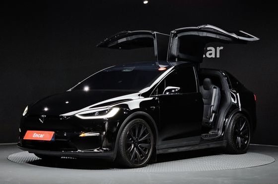 Tesla Model X Long Range — пробег 81 228 км — фото 1 из 5