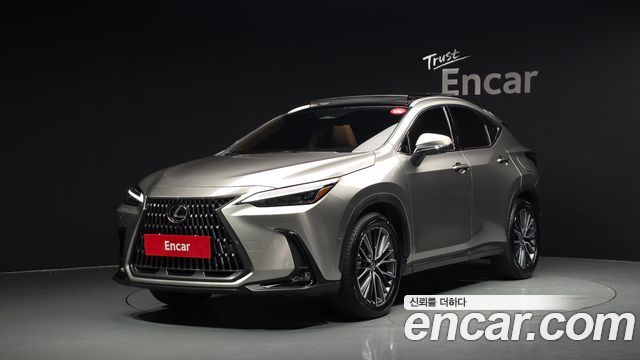 Lexus NX Luxury — пробег 11 816 км — фото 1 из 5