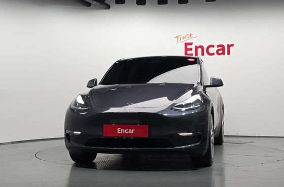 Tesla Model Y Standard Range RWD — пробег 96 971 км — фото 3 из 5