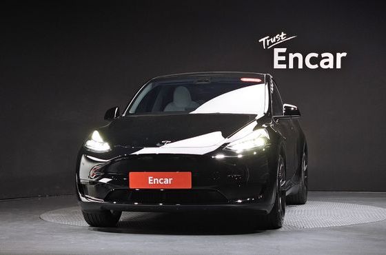 Tesla Model Y RWD — пробег 32 326 км — фото 3 из 5