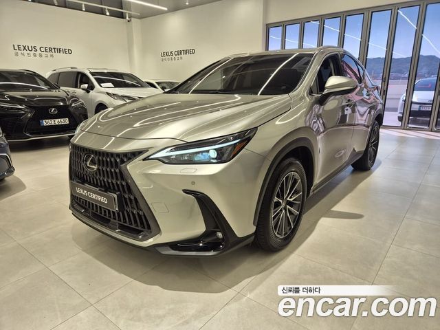 Lexus NX Premium — пробег 9 494 км — фото 1 из 5
