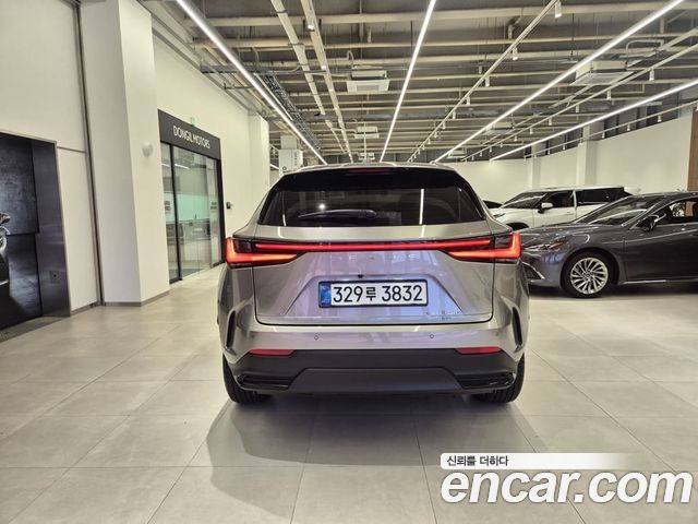 Lexus NX Premium — пробег 9 494 км — фото 4 из 5