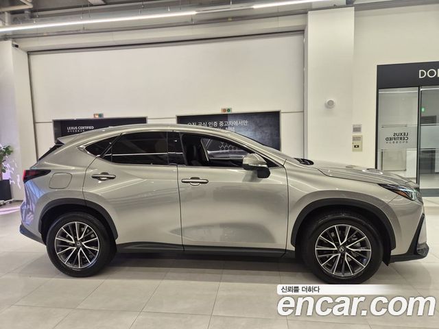 Lexus NX Premium — пробег 9 494 км — фото 5 из 5
