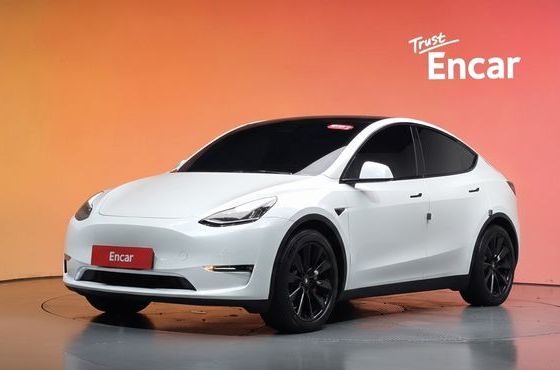 Tesla Model Y Long Range AWD — пробег 97 086 км — фото 1 из 5