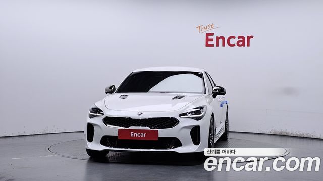 Kia Stinger 2.5 AWD Masters — пробег 118 684 км — фото 3 из 5