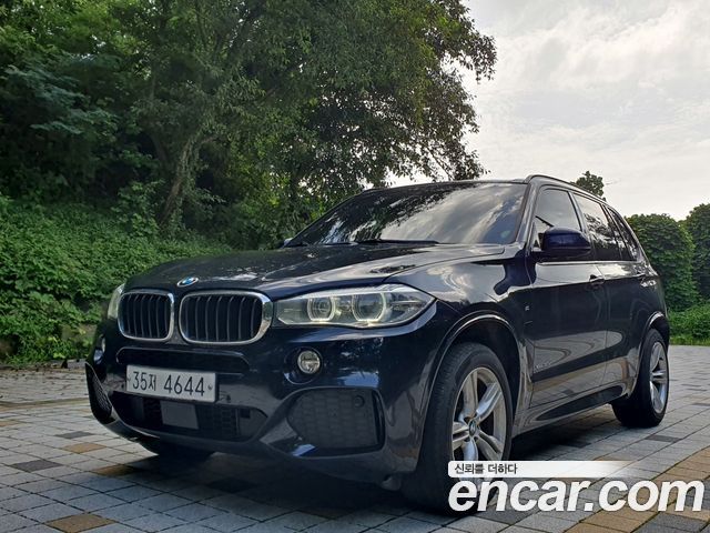 BMW X5 xDrive 30d M Sport package — пробег 274 215 км — фото 1 из 5