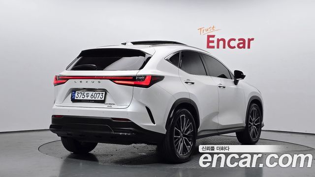 Lexus NX Luxury — пробег 109 855 км — фото 2 из 5