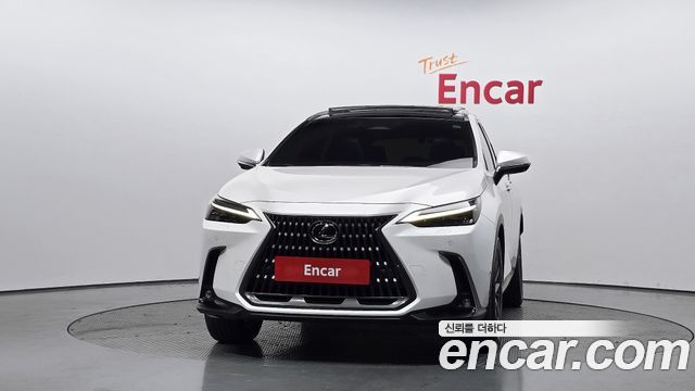 Lexus NX Luxury — пробег 109 855 км — фото 3 из 5