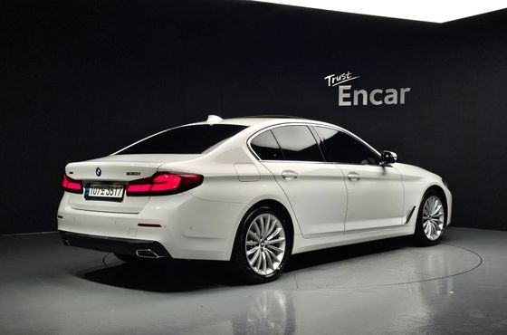 BMW 5-Series 530i xDrive Luxury — пробег 3 863 км — фото 2 из 5