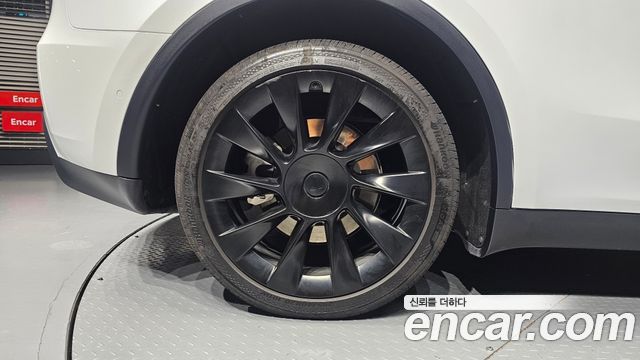 Tesla Model Y из Кореи Encar