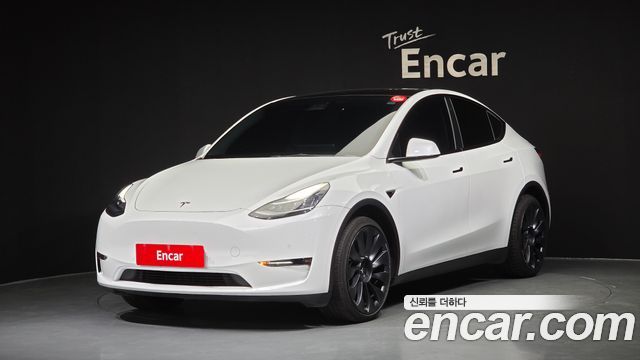 Tesla Model Y Long Range AWD — пробег 61 089 км — фото 1 из 5