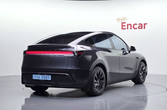 Tesla Model Y RWD — пробег 42 853 км — фото 2 из 5