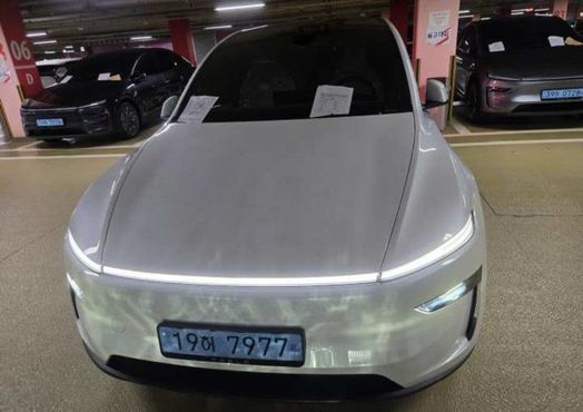 Tesla Model Y L Long Range AWD — пробег 1 км — фото 1 из 5