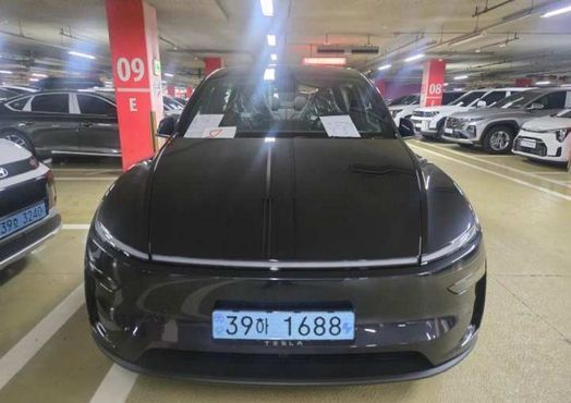 Tesla Model Y L Long Range AWD — пробег 1 км — фото 1 из 5