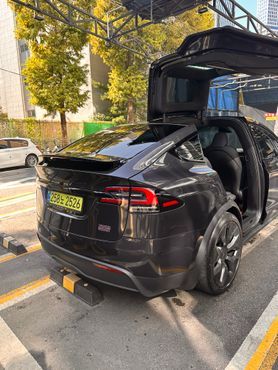 Tesla Model X Plaid — пробег 10 000 км — фото 1 из 5