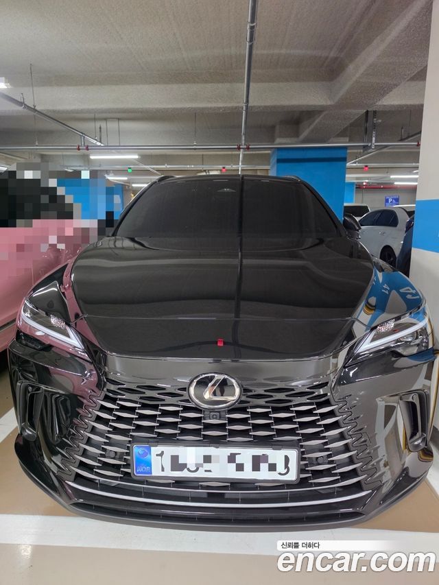 Lexus RX Premium — пробег 1 800 км — фото 4 из 5