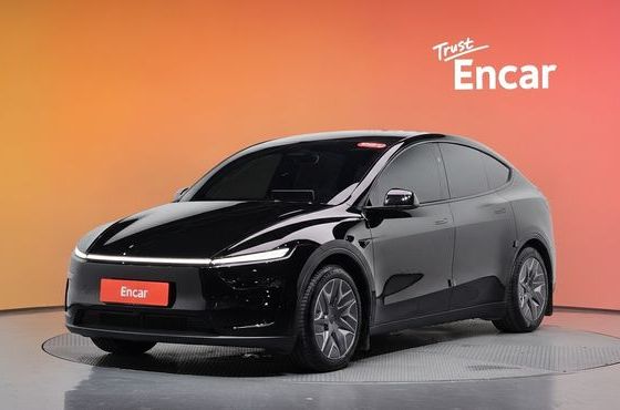 Tesla Model Y L Long Range AWD — пробег 8 684 км — фото 1 из 5