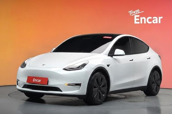 Tesla Model Y Long Range AWD — пробег 60 961 км — фото 1 из 5