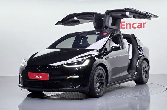Tesla Model X AWD — пробег 3 939 км — фото 1 из 5