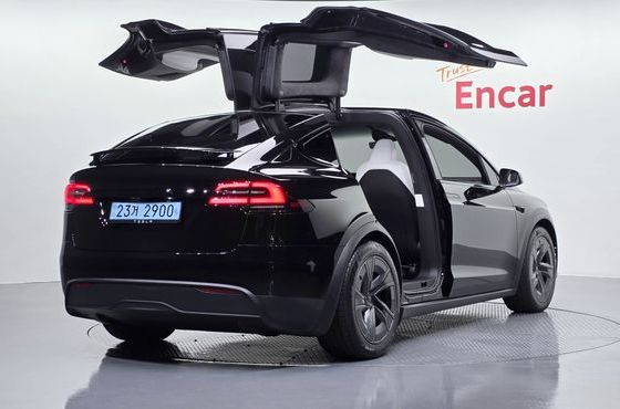 Tesla Model X AWD — пробег 3 939 км — фото 2 из 5