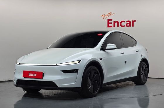 Tesla Model Y Long Range AWD — пробег 42 524 км — фото 1 из 5