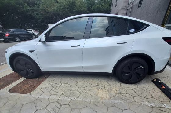 Tesla Model Y Premium Long Range AWD — пробег 500 км — фото 4 из 5