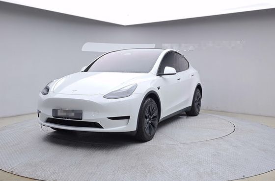 Tesla Model Y RWD — пробег 27 188 км — фото 1 из 5