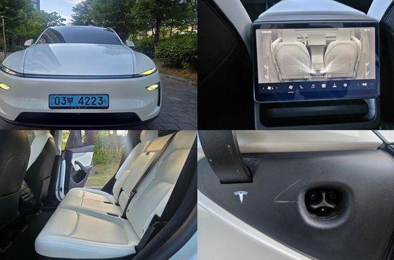 Tesla Model Y RWD — пробег 36 308 км — фото 1 из 5