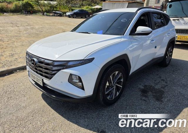 Hyundai Tucson Diesel 2.0 2WD Premium — пробег 193 919 км — фото 1 из 5