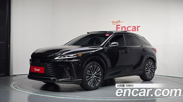 Lexus RX Luxury — пробег 31 160 км — фото 1 из 5