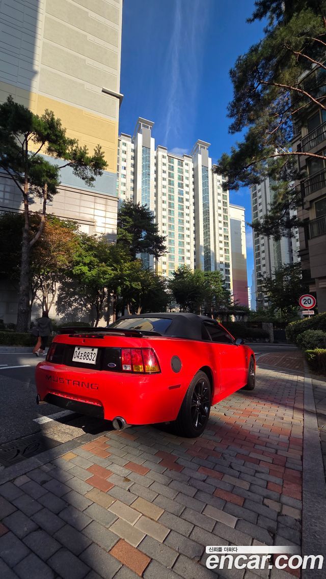 Ford Mustang Convertible — пробег 78 000 км — фото 2 из 5