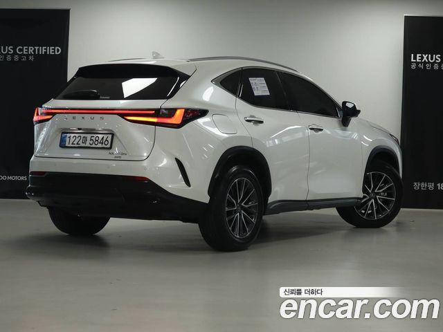 Lexus NX Premium — пробег 11 841 км — фото 2 из 5