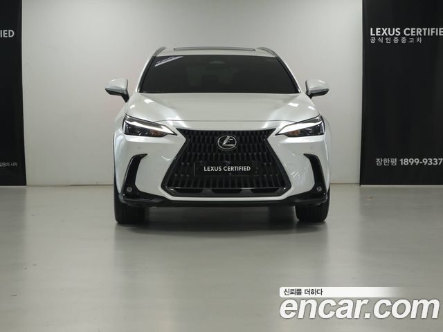 Lexus NX Premium — пробег 11 841 км — фото 3 из 5