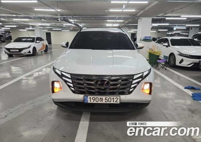 Hyundai Tucson Diesel 2.0 2WD Premium — пробег 193 919 км — фото 1 из 5