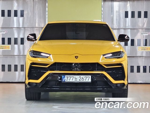 Lamborghini Urus 4.0 V8 — пробег 8 300 км — фото 2 из 5