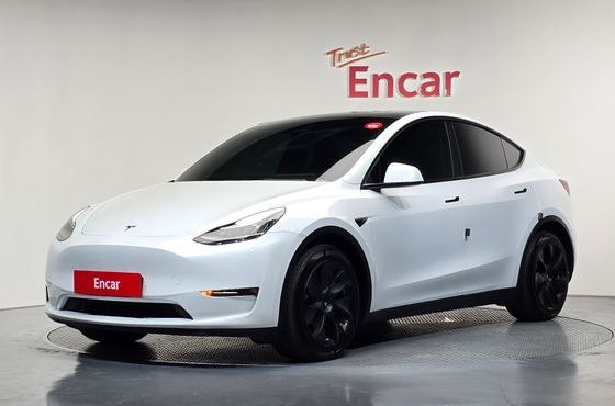 Tesla Model Y Long Range AWD — пробег 61 704 км — фото 1 из 5