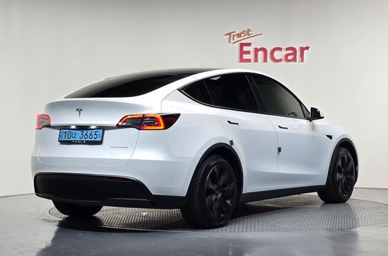 Tesla Model Y Long Range AWD — пробег 61 704 км — фото 2 из 5
