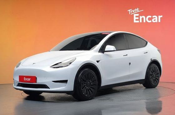 Tesla Model Y RWD — пробег 58 995 км — фото 1 из 5