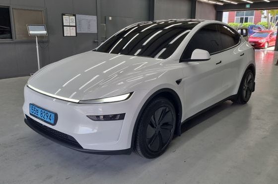 Tesla Model Y Premium RWD — пробег 9 500 км — фото 1 из 5