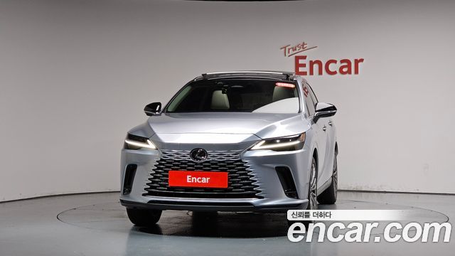 Lexus RX Luxury — пробег 16 608 км — фото 3 из 5