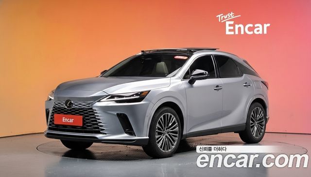 Lexus RX Luxury — пробег 16 608 км — фото 1 из 5